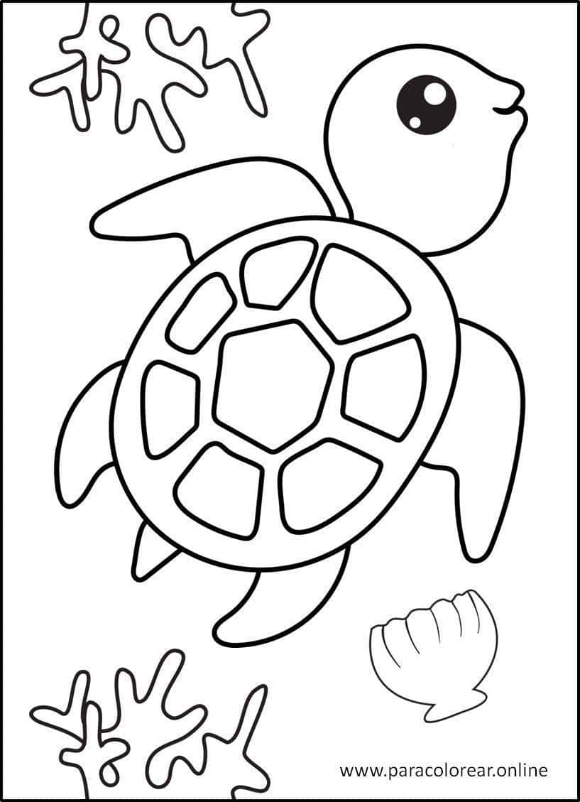 Dibujos De Animales Acuáticos para Colorear Imprimir y Pintar 🐬🐢🐳