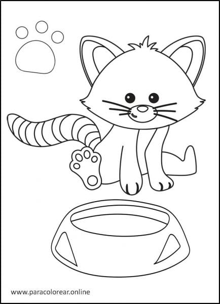 Gatos-para-colorear-12